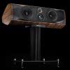 Sonus Faber Olympica Center