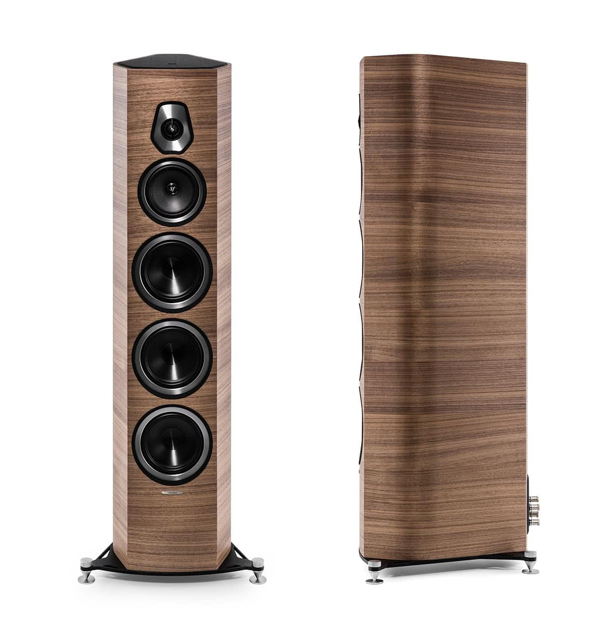 Напольная акустика. Sonus Faber Sonetto III. Акустика напольная Сонус Фабер. Акустическая система Sonus Faber Sonetto VIII. Акустическая система Sonus Faber Sonetto v.